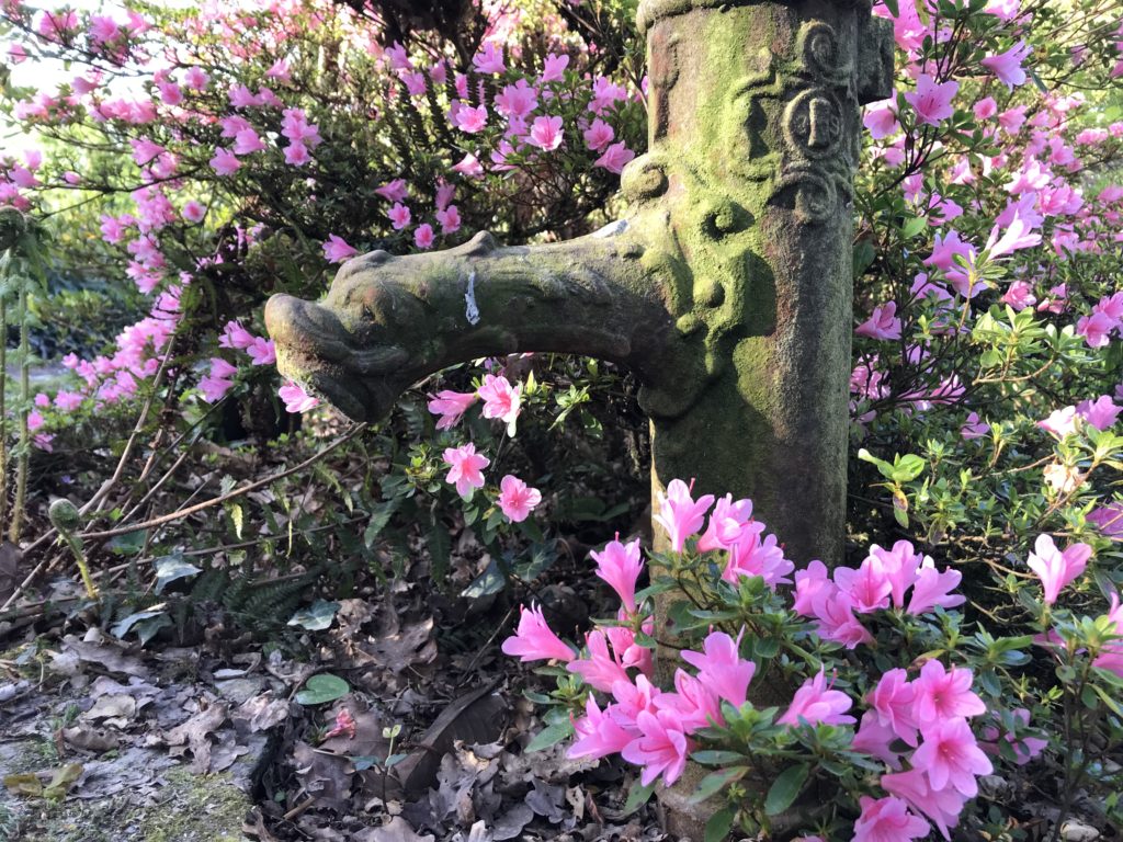 jardin agnes 01