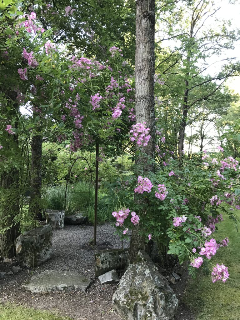 jardin agnes 05