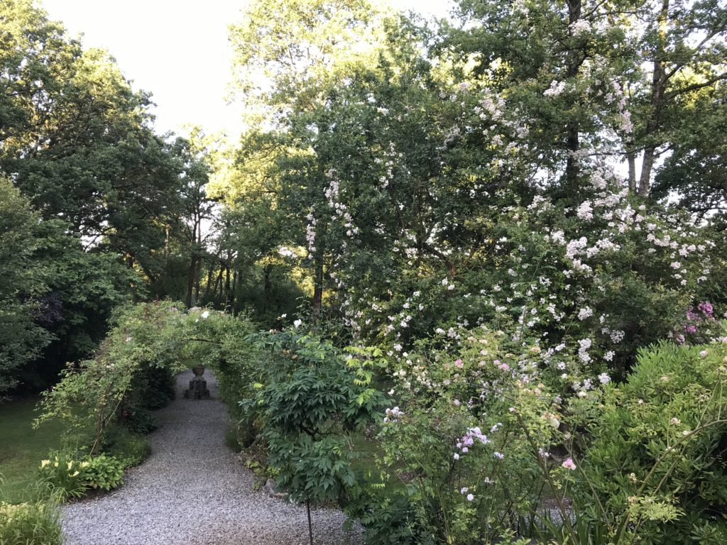 jardin agnes 07