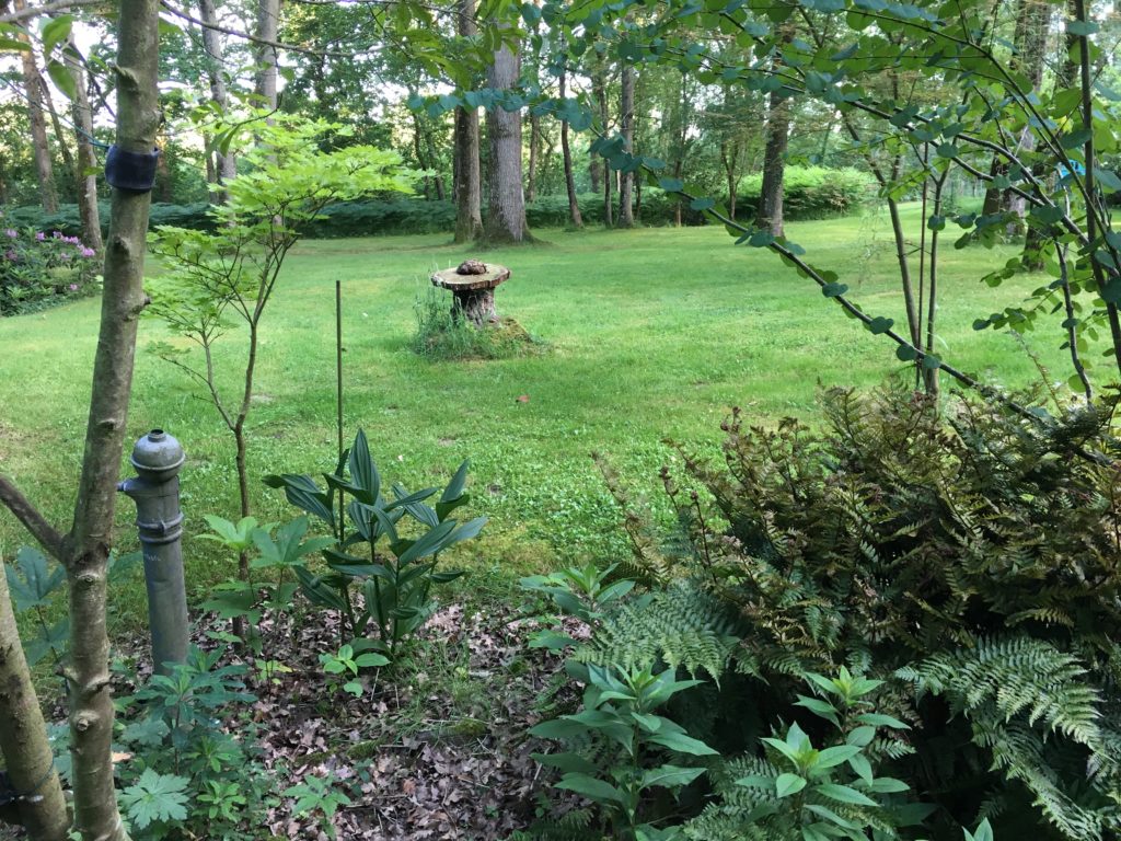 jardin agnes 11